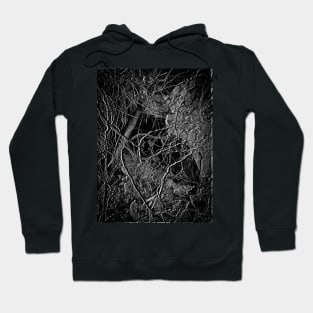 TONE ROOTS 3 - Subterranean Conversation Exposed Hoodie